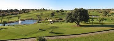 Adega Mayor Tournament - Boavista Course